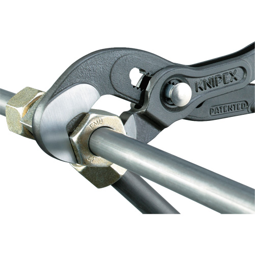 Raptor Pliers, 10" Dufferin Supply