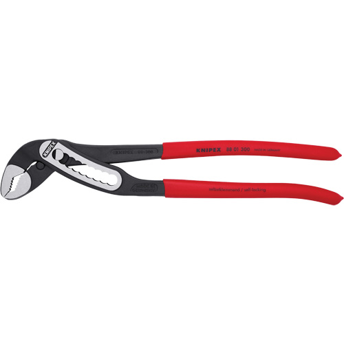 Pince multiprise auto-bloquante Alligator&reg;, 12" Dufferin Supply