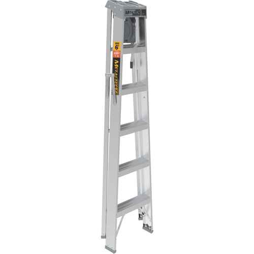Step Ladder with Paint Tray, 6', Aluminum, 225 lbs. Capacity, Type 2 Dufferin Supply