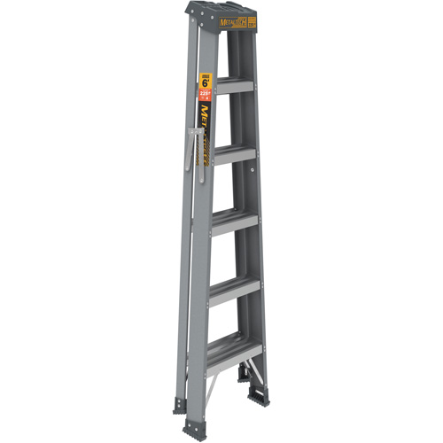 Step Ladder, 6', Fibreglass, 225 lbs. Capacity, Type 2 Dufferin Supply