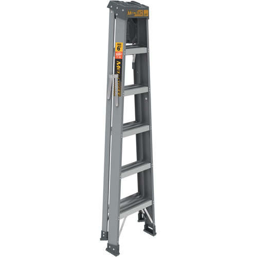 Step Ladder with Paint Tray, 6', Fibreglass, 225 lbs. Capacity, Type 2 Dufferin Supply