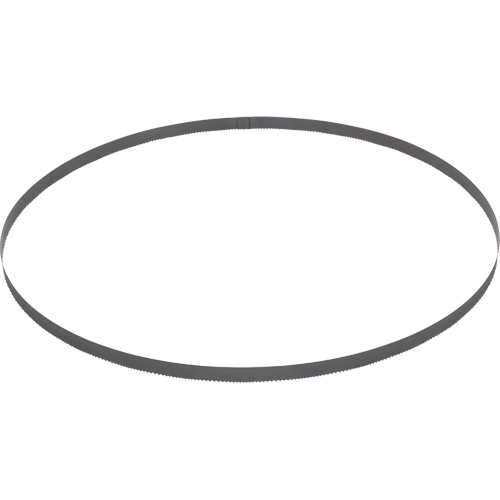 Lame de scie &agrave; ruban , Bim&eacute;tal, 44-7/8" lo x 1/2" la x &eacute;paisseur 0,020", 14 dents par pouce Dufferin Supply