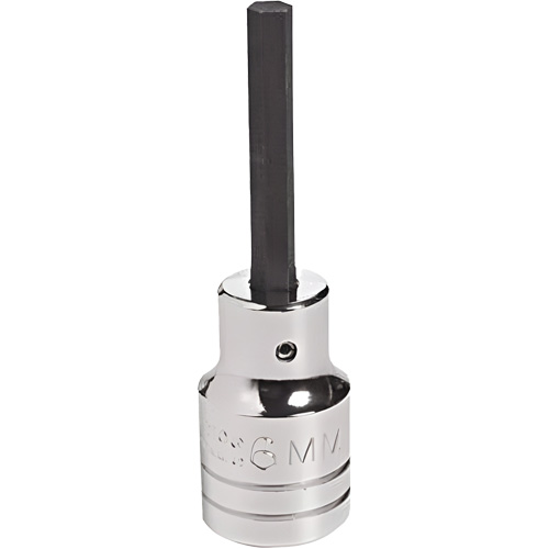 Embout &agrave; ins&eacute;rer, Hexagonale, 18 mm x 4" lo, Prise 1/2" Dufferin Supply