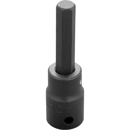 Socket Bit, Hex, 10 mm x 3-1/4" L, 1/2" Drive Dufferin Supply