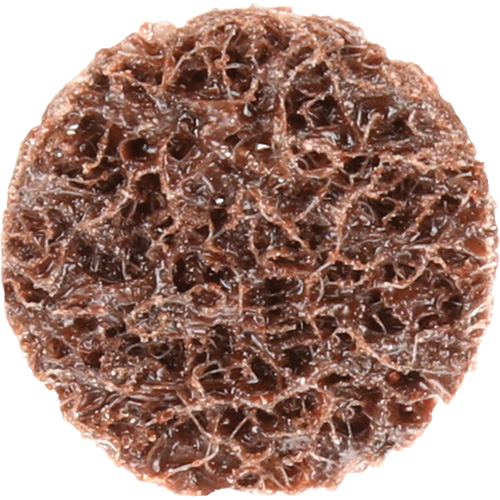 Standard Abrasives Quick-Change Surface Conditioning Disc, 3/4" Dia., Coarse Grit, Aluminum Oxide Dufferin Supply