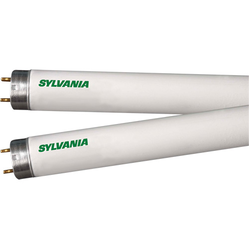Lampes fluorescentes, 32 W, T8, 4100 K, Longueur de 48" Dufferin Supply