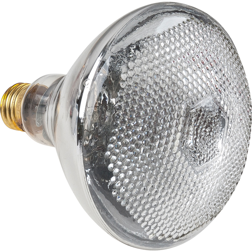 Economy Line Incandescent Lamps Dufferin Supply