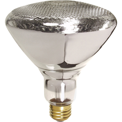 Economy Line Incandescent Lamps Dufferin Supply