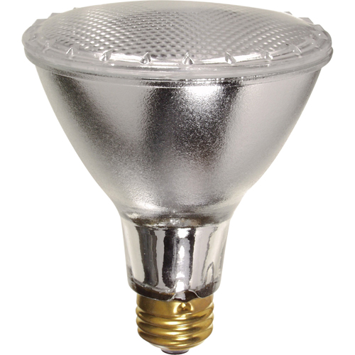 Economy Line Lamps Dufferin Supply