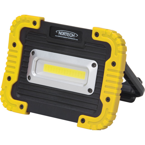 Lampe de travail portative, DEL, 10 W, 1000 lumens, Boîtier en Plastique Dufferin Supply