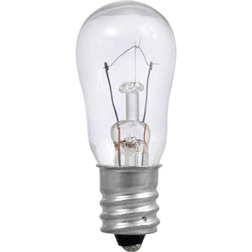 Ampoule incandescente S6 Dufferin Supply