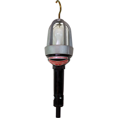 Hazardous Location Handlamp Dufferin Supply