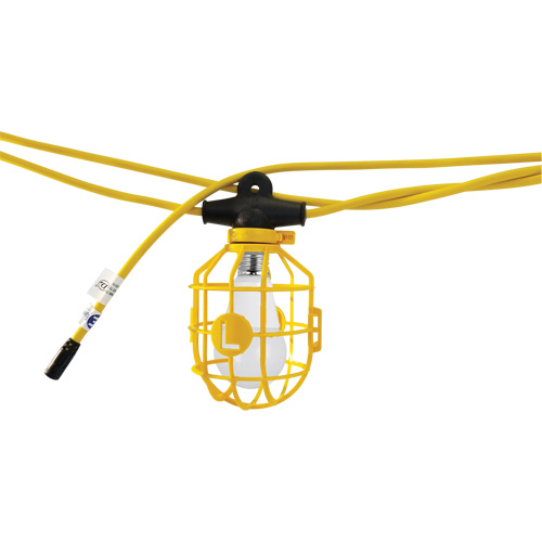 LED String Lights with Connector, 10 Lights, 100' L, Plastic Housing Dufferin Supply