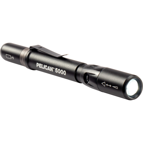 Lampe de poche, DEL, 202 lumens, Piles AAA Dufferin Supply