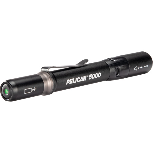 Lampe de poche, DEL, 202 lumens, Piles AAA Dufferin Supply