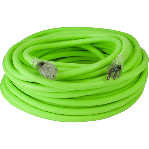 Cordon rallonge industriel Flexzilla Pro, Toutes saisons, SJTW, AWG 10/3, 15 A, 100' Dufferin Supply