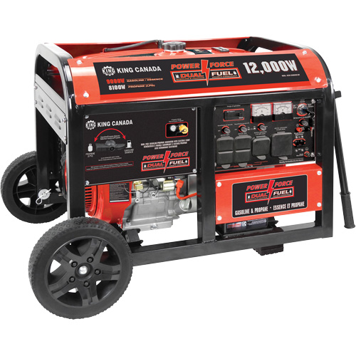 Gasoline/Propane Generator with Electric Start Dufferin Supply