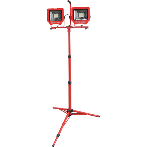 Baladeuses jumel&eacute;es avec tr&eacute;pied, DEL, 72 W, 8000 lumens, Boîtier en Aluminium Dufferin Supply