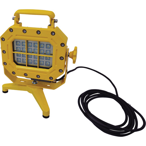 Explosion Proof Floodlight with Stand, LED, 40 W, 5600 Lumens, Aluminum Housing Dufferin Supply