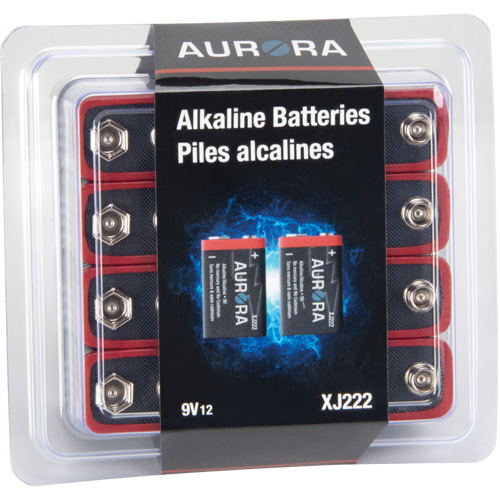 Piles alcalines industrielles, 9 V Dufferin Supply