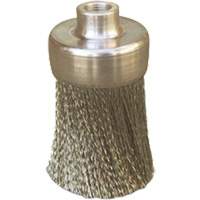 Brosses plates, rondes ou Roto Dufferin Supply