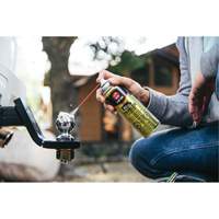 Gel lubrifiant pour remorque 3-in-One, Canette a&eacute;rosol Dufferin Supply