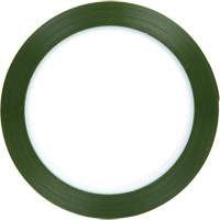 Ruban en polyester, Polyester, 25,4 mm (1") la x 66 m (216') lo, 1,9 mils &eacute;pais Dufferin Supply