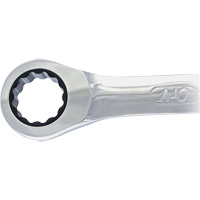 Non-Reversing Ratcheting Combination Wrench Dufferin Supply