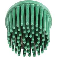 Disques bristle Roloc, Grain 120, 1" dia. Dufferin Supply