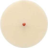 Disque Scotch-Brite 7502 pour retrait de colle et de bandes de moulage, 6" dia. Dufferin Supply