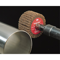 Brosses &agrave; lamelles Scotch-Brite Dufferin Supply