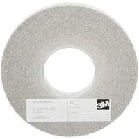 Meules d'&eacute;barbage EXL Scotch-Brite, 8" x 1", Arbre de 3", Oxyde d'aluminium Dufferin Supply