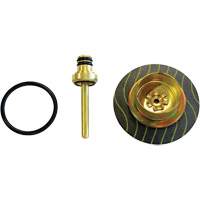 Filter/Regulator - Relieving Diaphragm & Valve Assembly Dufferin Supply