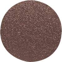 Disque de ponçage pour le bois, 12" dia., Grain 60 Dufferin Supply