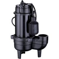 Cast Iron Sewage Pump, 120 V, 9.5 A, 6000 GPH, 1/2 HP DC850 | Dufferin Supply