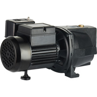 Dual Voltage Cast Iron Shallow Well Jet Pump, 115 V/230 V, 1100 GPH, 1 HP DC853 | Dufferin Supply