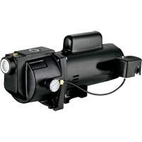 Dual Voltage Cast Iron Shallow Well Jet Pump, 115 V/230 V, 1260 GPH, 1 HP DC854 | Dufferin Supply