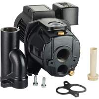 Dual Voltage Cast Iron Convertible Jet Pump, 115 V/230 V, 1400 GPH, 3/4 HP DC856 | Dufferin Supply