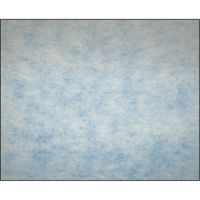 Filtres en m&eacute;dias synth&eacute;tiques &agrave; arrestance &eacute;lev&eacute;e, Tampon, MERV 5, 24" la x 2" p x 12" h Dufferin Supply