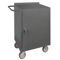 Armoire d'&eacute;tabli mobile, Acier Surface Dufferin Supply