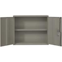 Wall Mounted Cabinet, Steel, 2 Shelves, 30" H x 36" W x 12" D, Grey Dufferin Supply