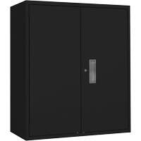 Lo-Boy Storage Cabinet, Steel, 2 Shelves, 42" H x 36" W x 18" D, Black Dufferin Supply
