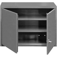 Wall-Mounted Cabinet, 27" H x 29-7/8" W x 13-11/16" D, 2 Shelves, Steel, Grey Dufferin Supply