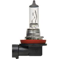 H8 Basic Headlight Bulb FLT984 | Dufferin Supply