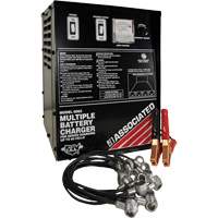 Multi-Battery Series Charger Dufferin Supply