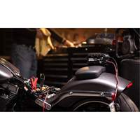 Chargeur de batterie 10 A Genius 10 Dufferin Supply