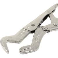 Small Parrot Pliers Dufferin Supply