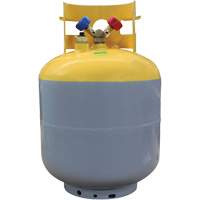 Cylindre de r&eacute;cup&eacute;ration de 50 lb homologu&eacute; DOT avec interrupteur flottant Dufferin Supply
