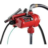 12V DC Fuel Transfer Pump with Nozzle Dufferin Supply