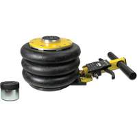 V&eacute;rin &agrave; coussin gonflable triphas&eacute; s&eacute;rie Pro, 2 tonne(s), 22" Hauteur &eacute;lev&eacute;e Dufferin Supply